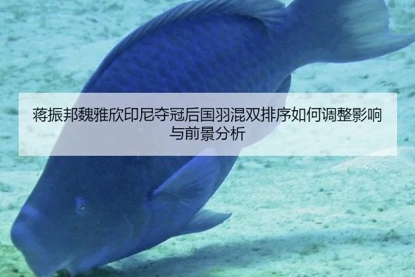 jiang-zhen-bang-wei-ya-xin-yin-ni-duo-guan-hou-guo-yu-hun-shuang-pai-xu-ru-he-tiao-zheng-ying-xiang-yu-qian-jing-fen-xi-2-800.jpg
